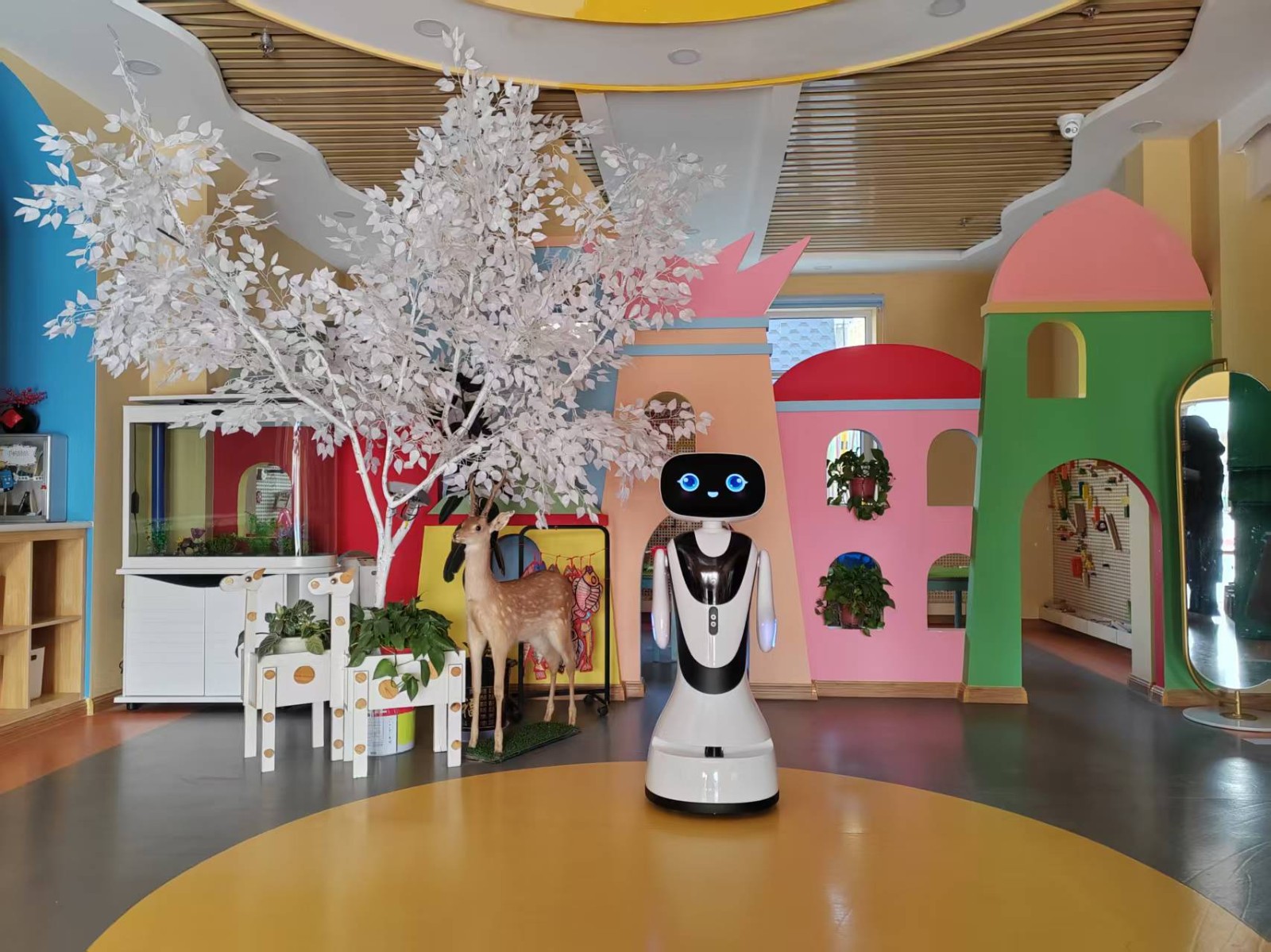 智慧教育添新彩！肃南县幼儿园迎来“小鱼”机器人小伙伴